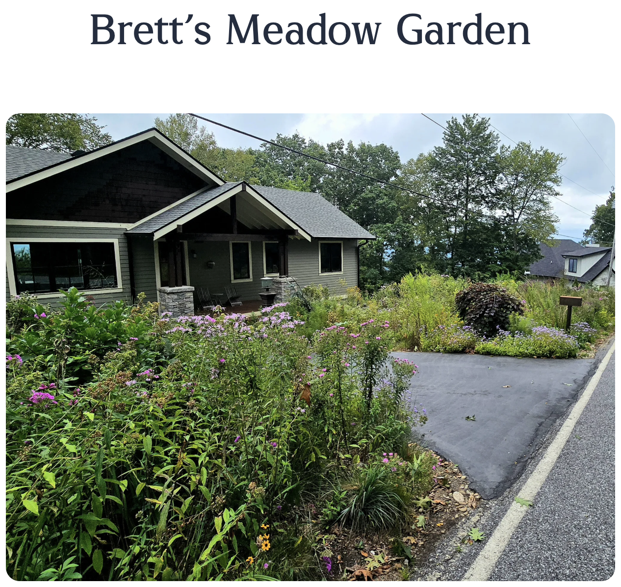 Meadow garden at the home of Brett Hopkins
