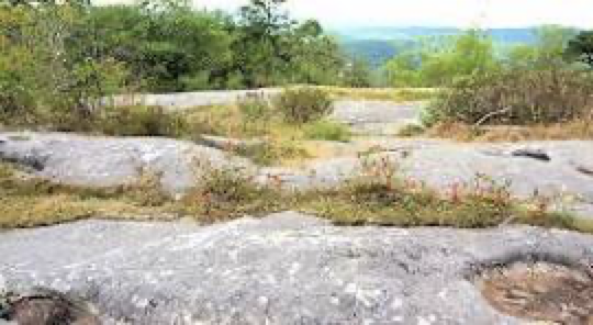 Flat Rock Loop Trail