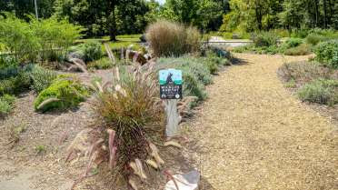 Forest Ridge Park