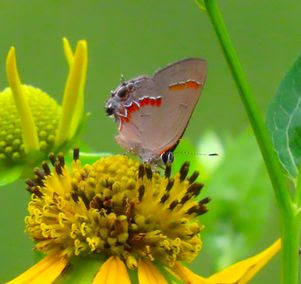 Haw River Private Preserve