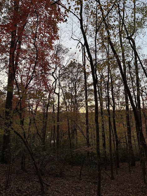 Little River Trail
