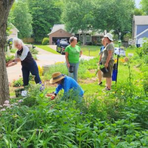 We make a difference as members of the North Carolina Native Plant Society. Photo by Cabot Thunem