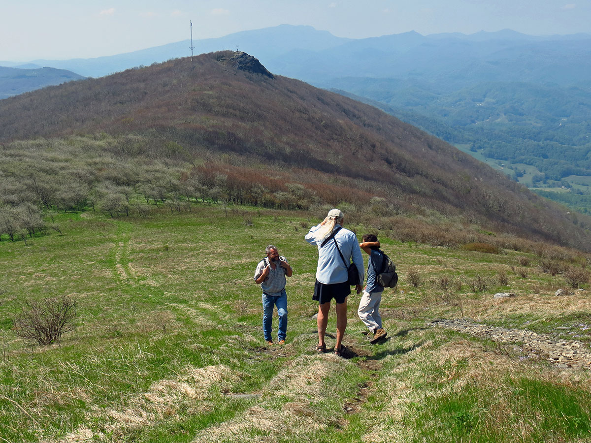 Tater Hill Bald