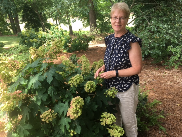 Phyllis Smith, Natural Resources Agent for N.C. Cooperative Extension, Forsyth County Center.