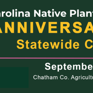 Banner 75th anniversary statewide celebration